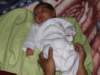 pict0088_small.jpg