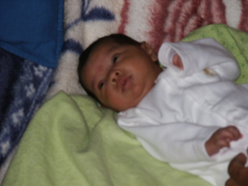 pict0089.jpg