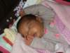 pict0094_small.jpg