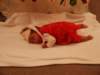 pict0104_small.jpg