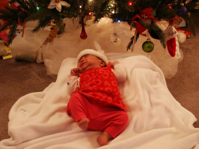 pict0113.jpg