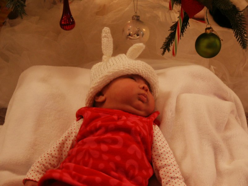 pict0115.jpg