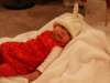 pict0117_small.jpg