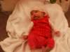 pict0129_small.jpg