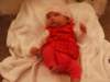 pict0130_small.jpg