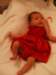 pict0181_small.jpg
