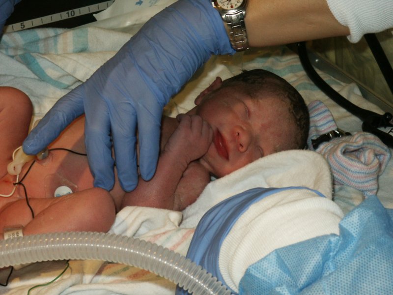 pict0246.jpg