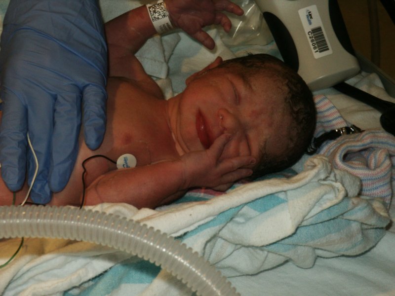 pict0248.jpg