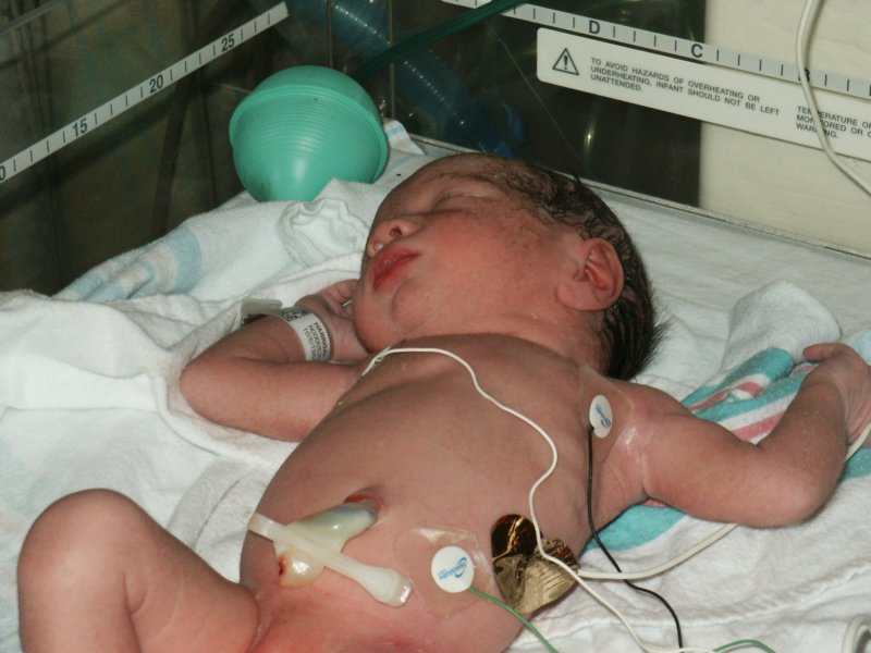 pict0258.jpg
