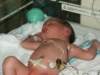 pict0258_small.jpg