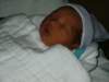 pict0267_small.jpg