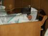 pict0284_small.jpg