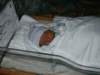 pict0288_small.jpg