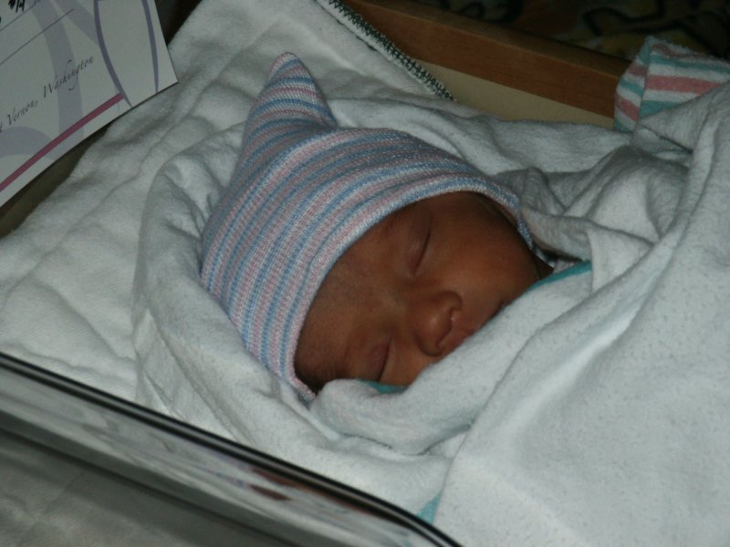 pict0290.jpg