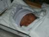 pict0290_small.jpg