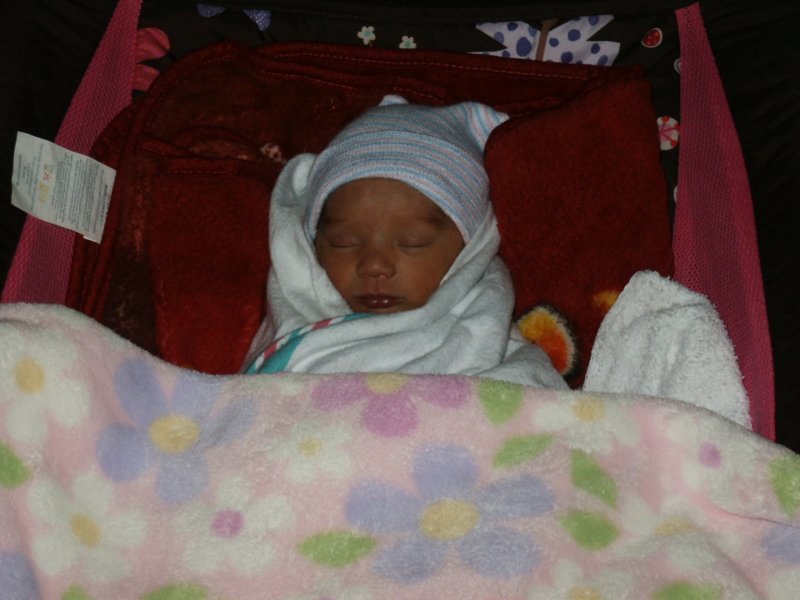 pict0299.jpg