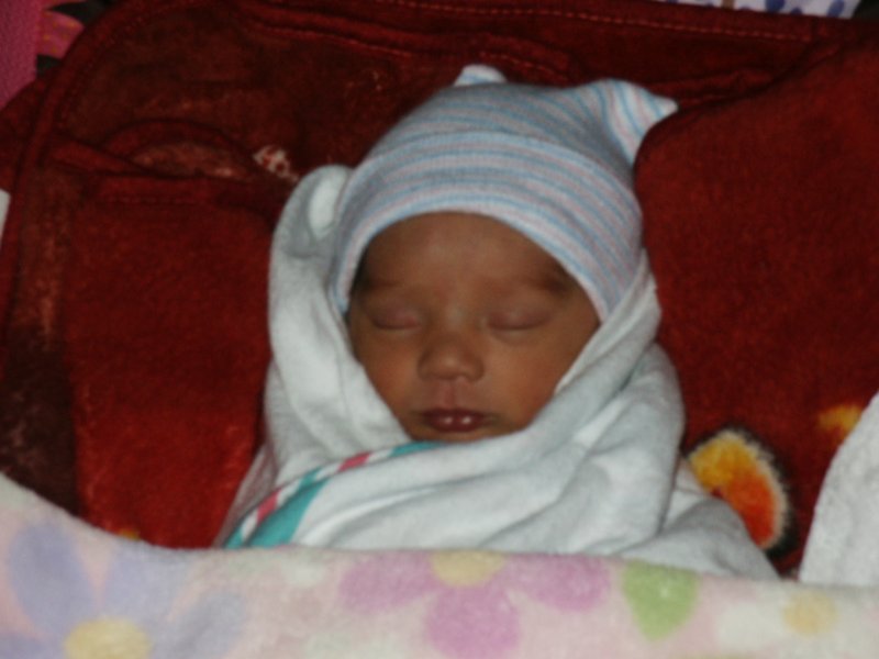 pict0300.jpg