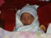 pict0300_small.jpg