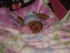 pict0303_small.jpg