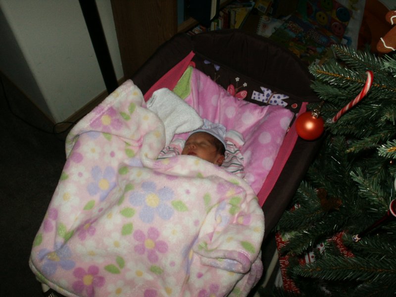 pict0306.jpg