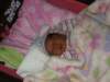 pict0310_small.jpg