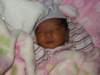 pict0312_small.jpg