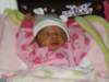 pict0328_small.jpg
