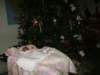pict0338_small.jpg