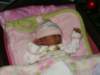 pict0340_small.jpg