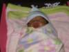 pict0344_small.jpg