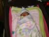 pict0345_small.jpg