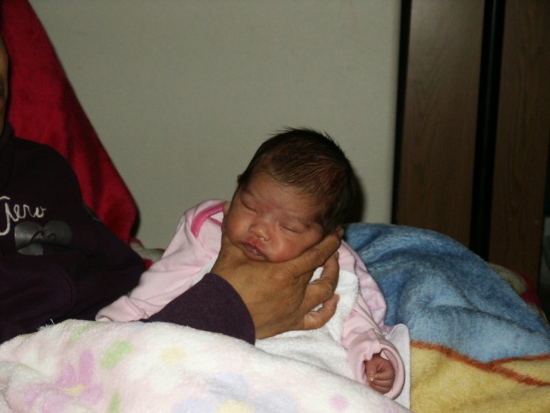 pict0358.jpg