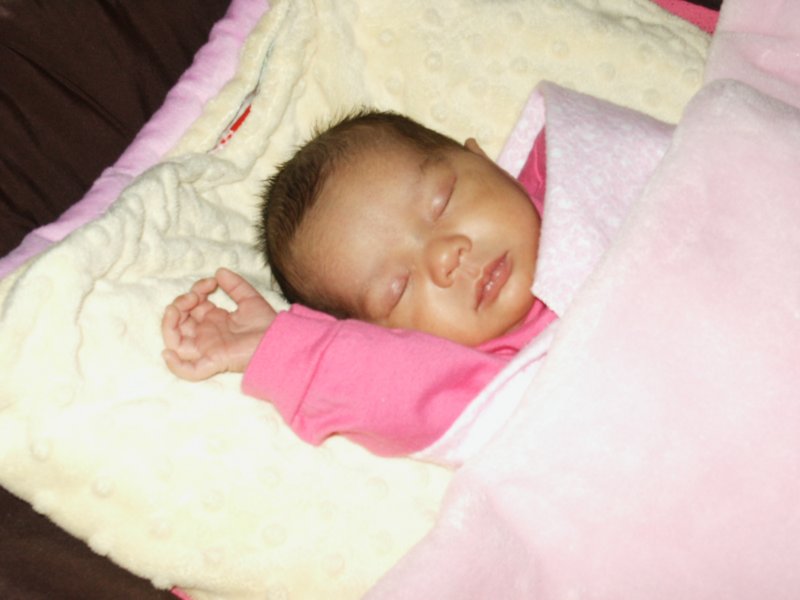 pict0361.jpg