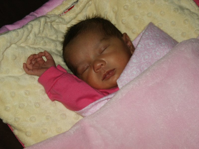 pict0362.jpg