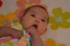 _shoot113_small.jpg